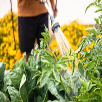 Agriculture & Environmental Studies